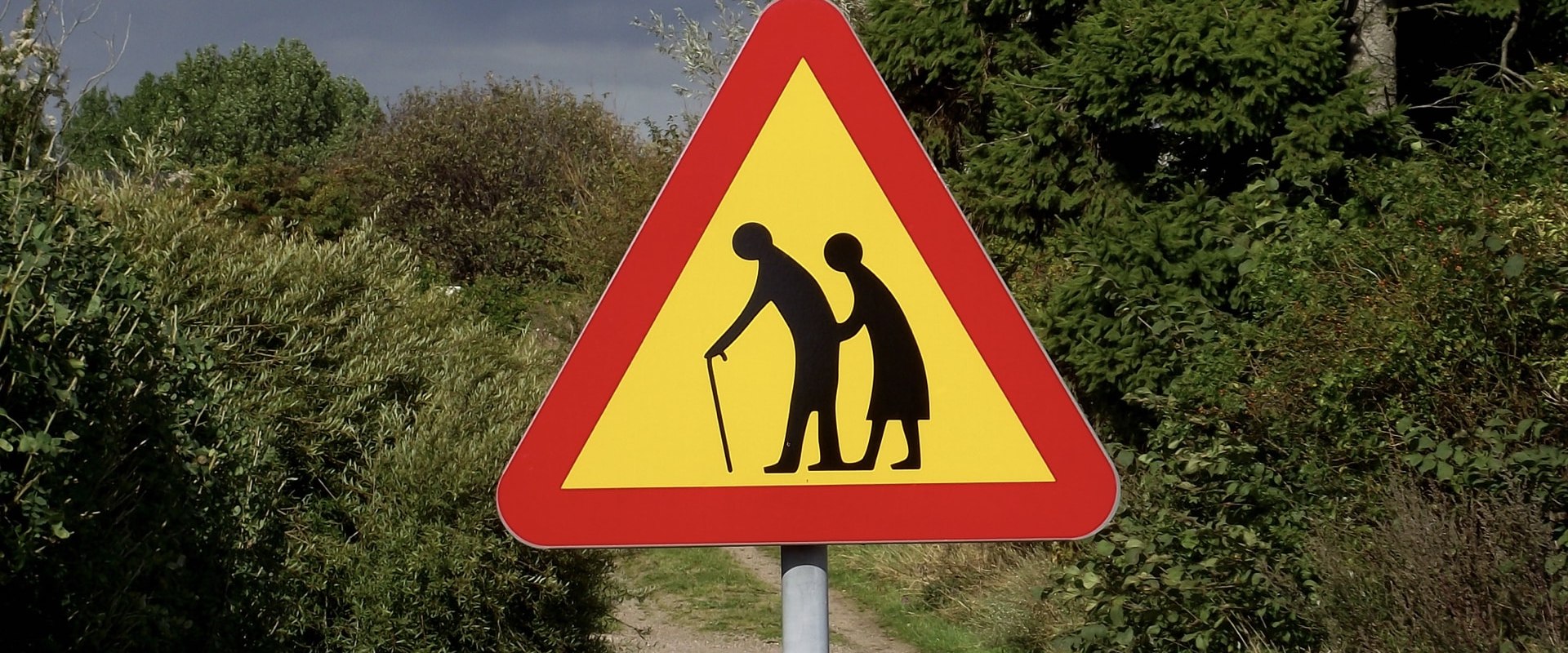 The Essential Role of Vitamin D3 in Reducing Falls and Fractures Among Seniors