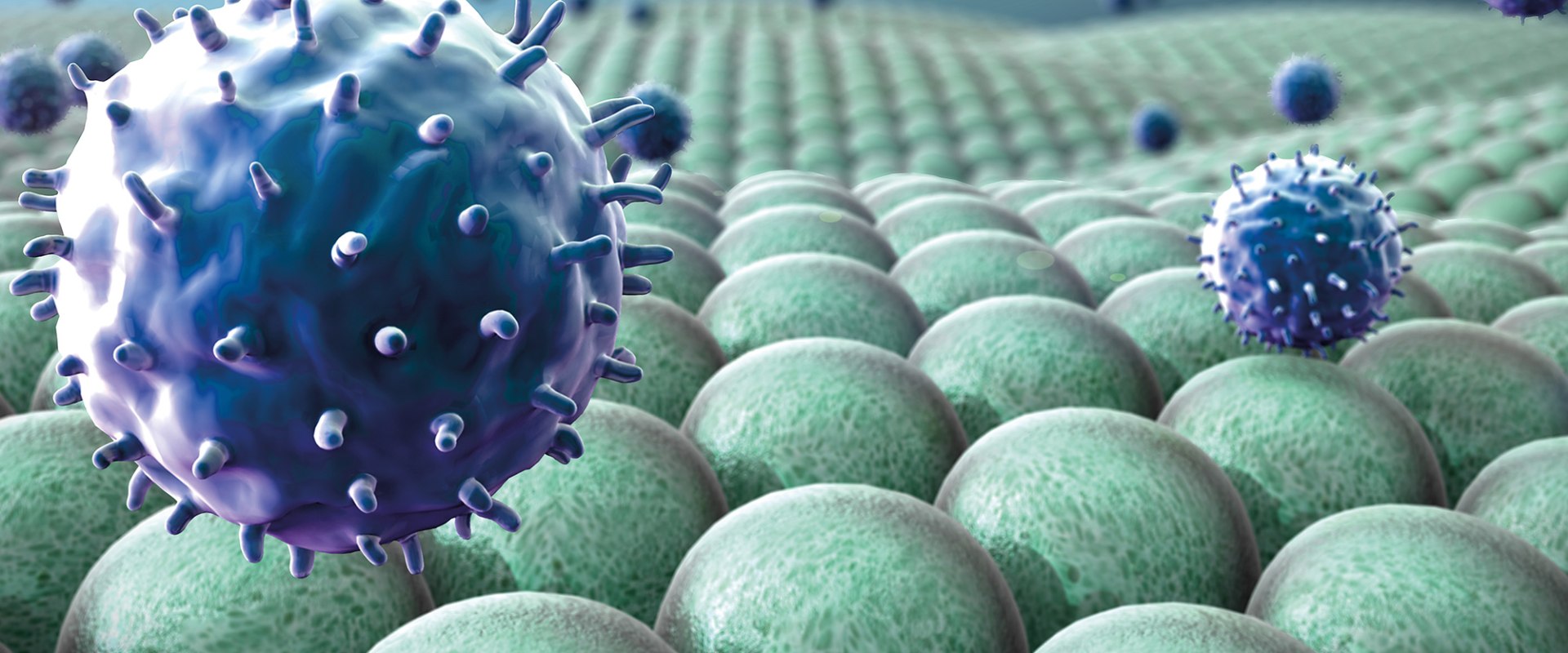 The Essential Role of Vitamin D3 in Immune Function: Benefits, Sources, and Deficiencies